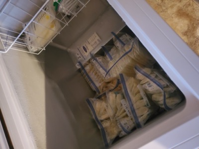 Kara's Freezer Full of Milk